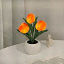 Luminária Tulipa LED  5 em 1 🌷 - Elegância e Charme em Cada Detalhe