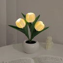 Luminária Tulipa LED  5 em 1 🌷 - Elegância e Charme em Cada Detalhe